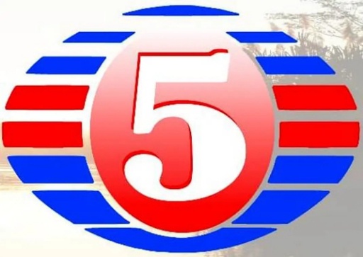 Borjana de Television