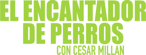 El encantador de perros