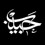 Habib TV