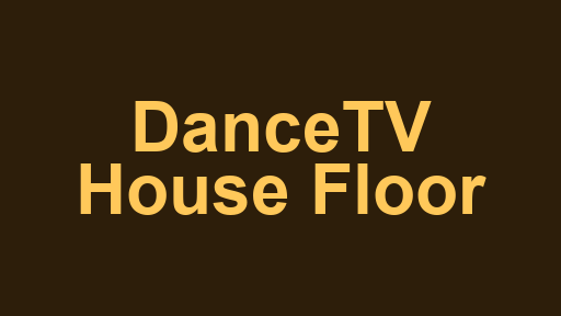 DanceTV House Floor